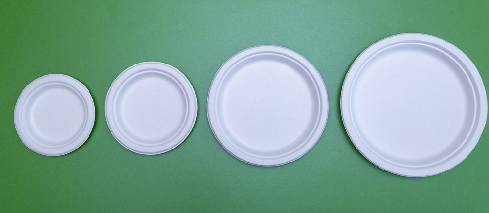 Plato pastelero de bagazo de caña de 6